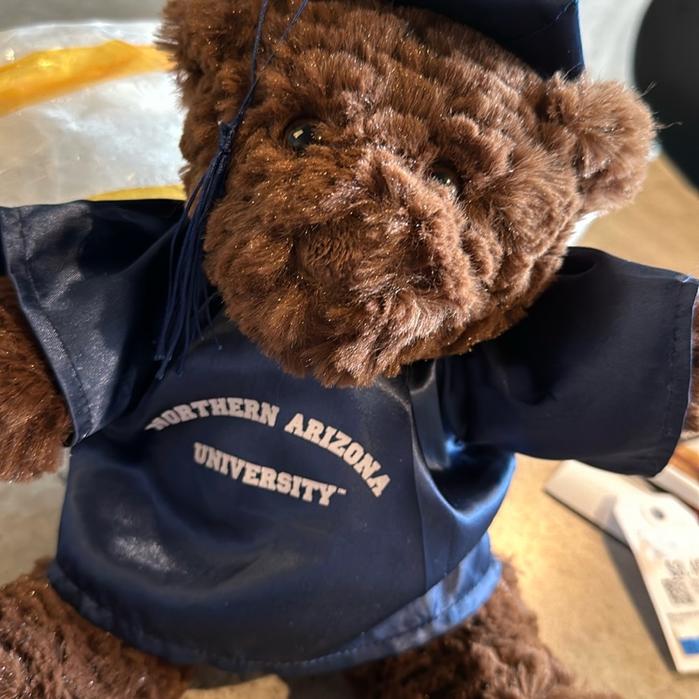 NWOT NAU Graduation Bear